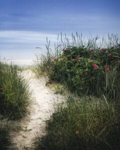 Dünenlandschaft Norddeich